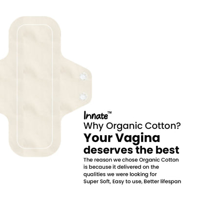 Organic Cotton Cloth Panty Liner